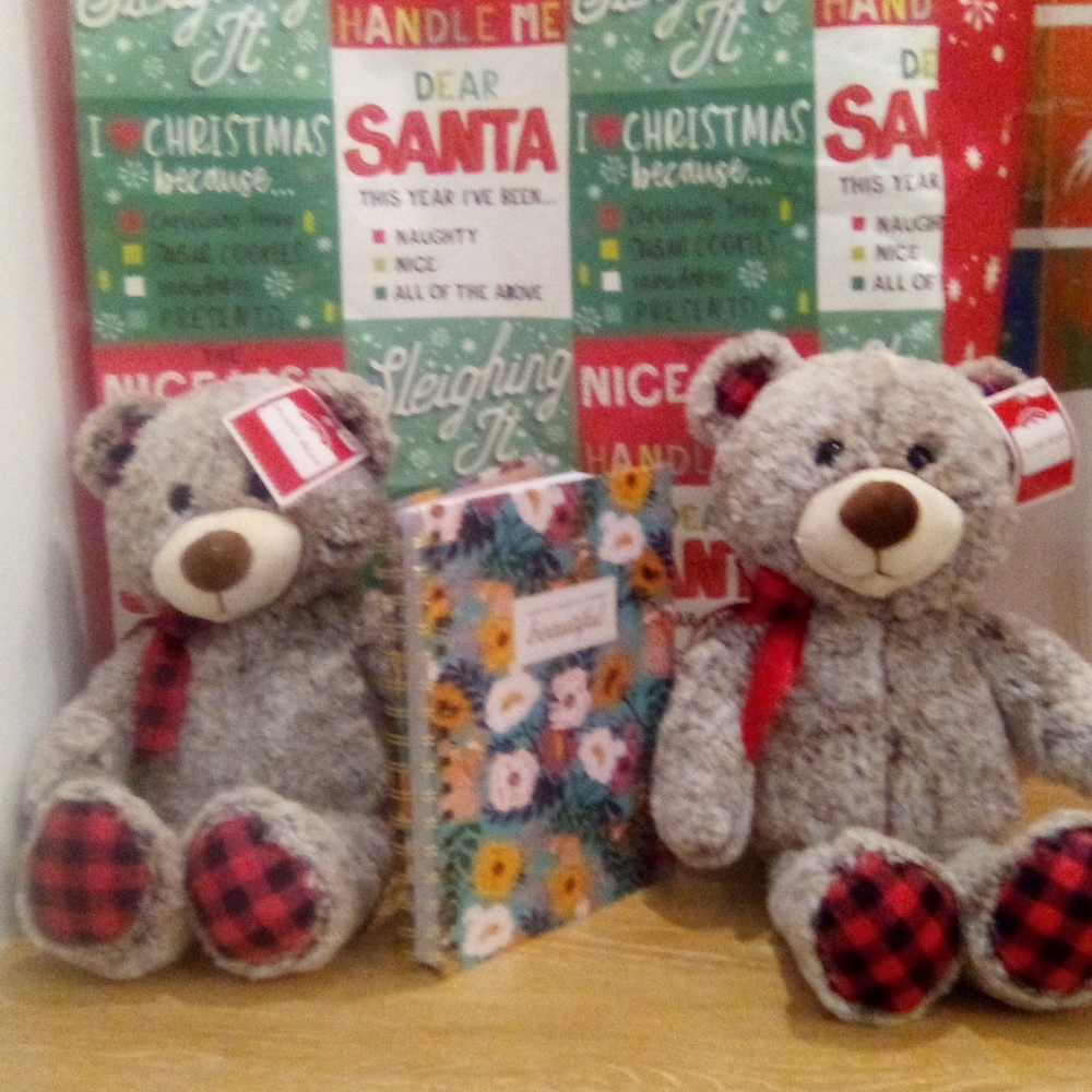 A Notebook and Two stuffed animals.